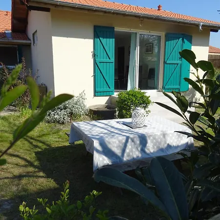 Les Oyats Saint-Julien-en-Born